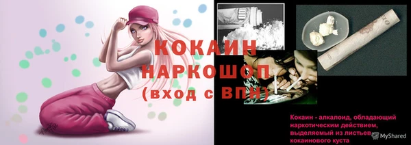 индика Барнаул