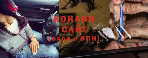 шишки Краснотурьинск