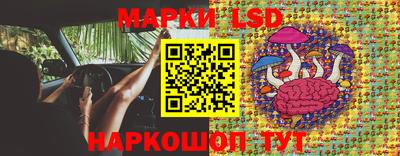 jwh Можга