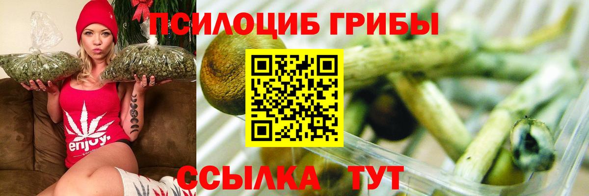 Псилоцибиновые грибы мицелий  Вход с VPN  Псилоцибиновые грибы MAGIC MUSHROOMS  как найти наркотики  Находка 